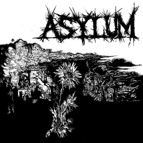 WAREHOUSE FIND: ASYLUM "S/T" 7"