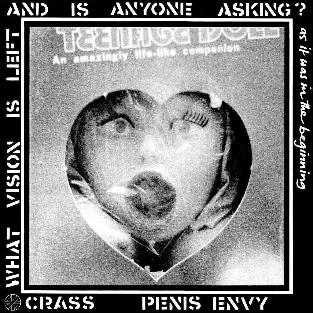 CRASS・レコード・PENIS ENVY - 洋楽